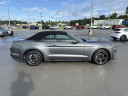 Thumbnail image of 2022 Ford Mustang at UltimateFord of Mountain Home, AR