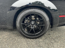 Thumbnail image of 2019 Dodge Challenger at Regency Autos of Medford
