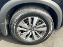Thumbnail image of 2023 Nissan Pathfinder at Nissan of Westbury