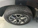 Thumbnail image of 2022 Chevrolet Suburban at Empire Cadillac of Long Island City