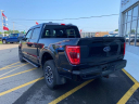 Thumbnail image of 2023 Ford F-150 at Fredonia Ford