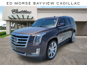 2015 Cadillac Escalade Premium at Ed Morse Bayview Cadillac