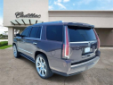 Thumbnail image of 2015 Cadillac Escalade at Ed Morse Bayview Cadillac