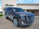 Thumbnail image of 2015 Cadillac Escalade at Ed Morse Bayview Cadillac