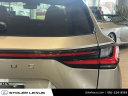 Thumbnail image of 2024 Lexus NX 350 at Stoler Lexus
