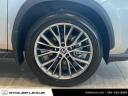 Thumbnail image of 2024 Lexus NX 350 at Stoler Lexus