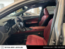 Thumbnail image of 2024 Lexus NX 350 at Stoler Lexus