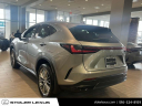 Thumbnail image of 2024 Lexus NX 350 at Stoler Lexus