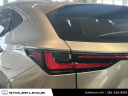 Thumbnail image of 2024 Lexus NX 350 at Stoler Lexus