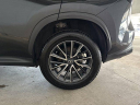 Thumbnail image of 2025 Lexus NX 250 at North Park Lexus Used