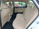 Thumbnail image of 2019 Hyundai SONATA at CioccaSubaruOfPleasantville - NEW