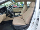 Thumbnail image of 2019 Hyundai SONATA at CioccaSubaruOfPleasantville - NEW