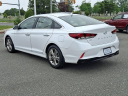Thumbnail image of 2019 Hyundai SONATA at CioccaSubaruOfPleasantville - NEW