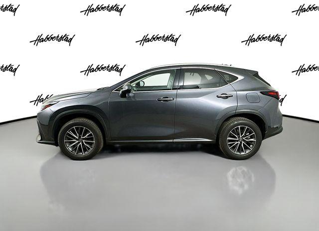 Thumbnail image of 2024 Lexus NX 350 at Habberstad BMW of Huntington
