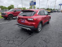 Thumbnail image of 2022 Ford Escape at Dorian Ford New