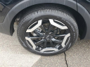 Thumbnail image of 2024 Kia Telluride at Al Serra Chrysler  Dodge Jeep Ram