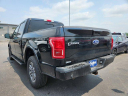 Thumbnail image of 2017 Ford F-150 at Evansville Ford NEW