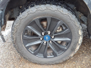 Thumbnail image of 2019 Ford F-150 at Serra Ford Farmington Hills