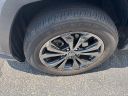 Thumbnail image of 2022 Toyota RAV4 Hybrid at Charles Barker Lexus