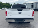 Thumbnail image of 2017 Ford F-150 at Viles Automotive