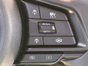 Thumbnail image of 2025 Subaru Crosstrek at Jenkins Subaru of Ocala - NEW