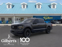 Thumbnail image of 2025 Ford F-150 at Gilbert Ford