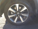 Thumbnail image of 2025 Honda Pilot at Shottenkirk Honda Of Davis