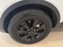 2019 Land Rover Range Rover Evoque SE Premium at LA City Cars