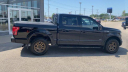 Thumbnail image of 2017 Ford F-150 at Les Stumpf Ford - New and Used