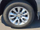 Thumbnail image of 2021 Chevrolet Silverado 1500 at Randy Marion Ford