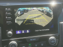 Thumbnail image of 2021 Honda Civic at Honda of Manhasset