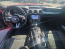 Thumbnail image of 2019 Ford Mustang at SunbeltFordOfAmericus-New of Americus, GA