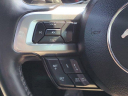Thumbnail image of 2019 Ford Mustang at SunbeltFordOfAmericus-New of Americus, GA