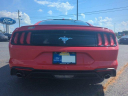 Thumbnail image of 2019 Ford Mustang at SunbeltFordOfAmericus-New of Americus, GA