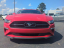Thumbnail image of 2019 Ford Mustang at SunbeltFordOfAmericus-New of Americus, GA