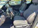 Thumbnail image of 2024 Toyota Tacoma at Toyota of Hollywood