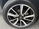 Thumbnail image of 2019 Nissan Rogue at Lia Nissan