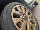 Thumbnail image of 2022 Honda Passport at Honda Of Greeley NEW
