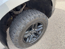 Thumbnail image of 2023 Chevrolet Silverado 1500 at Koehne Chevrolet Buick GMC