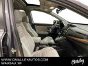 Thumbnail image of 2019 Honda CR-V at O'Malley Honda