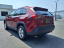 Thumbnail image of 2021 Toyota RAV4 at Ray Catena Lexus Monmouth
