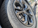 Thumbnail image of 2025 Honda Accord at TyrrellChevrolet (Also Ford and Honda used)