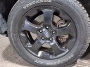 Thumbnail image of 2022 Subaru Forester at Bay Ridge Subaru