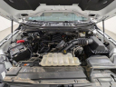 Thumbnail image of 2022 Ford F-150 at Mel Hambelton Ford