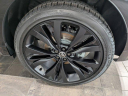 Thumbnail image of 2025 Jaguar F-PACE at JaguarPalmBeach - NEW