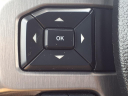 Thumbnail image of 2020 Ford F-250 Super Duty at Mcmullen Ford