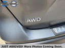 Thumbnail image of 2020 INFINITI QX50 at Lexus of Bellevue