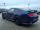 Thumbnail image of 2019 Ford Mustang at Lilliston Ford