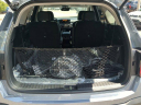Thumbnail image of 2025 Kia Sorento at Jenkins Kia NEW