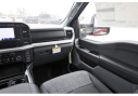 Thumbnail image of 2024 Ford F-250 Super Duty at Tomball AG - Ford NEW